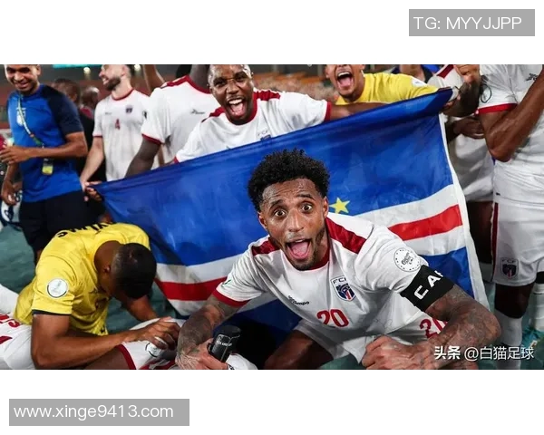 冰岛足球历代球星盘点与荣耀征程从北欧小国走向世界舞台 冰岛足球历代球星盘点与荣耀征程从北欧小国走向世界舞台